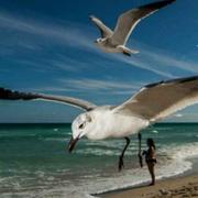 Spencial的个人资料头像