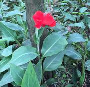 jun1470672208785的个人资料头像