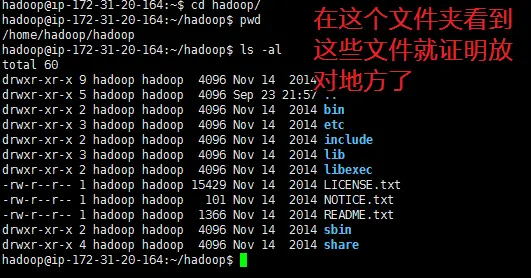 下载hadoop到home目录