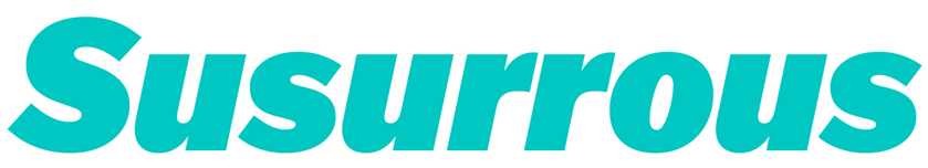 Balto submitted by Torry Colichio, Founder and Creative Director