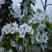 Bobzhang的个人资料头像