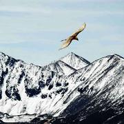 AD7946的个人资料头像