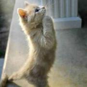 大鹏1470365418146的个人资料头像