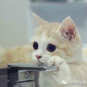 波達波人的个人资料头像