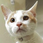 Stephen的马甲_csf的个人资料头像