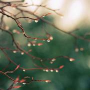 吴德建的个人资料头像