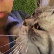 胡克的个人资料头像