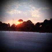 WayneWang00001660的个人资料头像