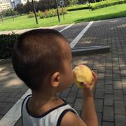 苏东峰的个人资料头像