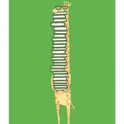 daydreamerxyf的个人资料头像