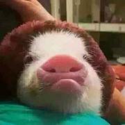 牛宇昊的个人资料头像