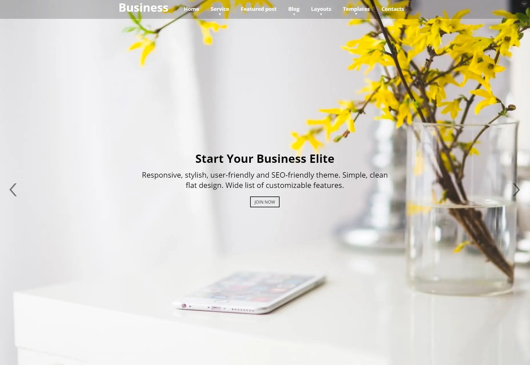 Business Elite: Clean Parallax WordPress Theme