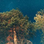 JerseyHoHo的个人资料头像