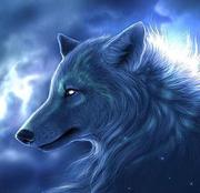 family8951的个人资料头像