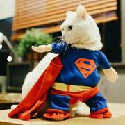 cyc6133的个人资料头像