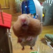 叫清哥就好的个人资料头像