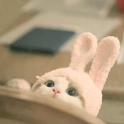 sky1480258077243的个人资料头像
