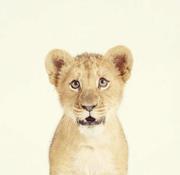 fxxkpeople的个人资料头像