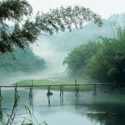 还停在昨天的个人资料头像