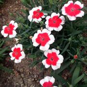 南西的个人资料头像