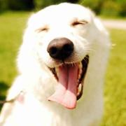 万为侗的个人资料头像