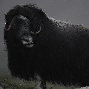 kkone的个人资料头像