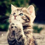 凌云的个人资料头像