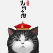 allensea的个人资料头像