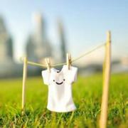 大脸喵的个人资料头像