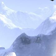 刘博的个人资料头像