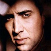 梧桐树的个人资料头像