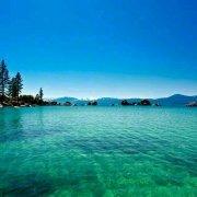 Golang的个人资料头像