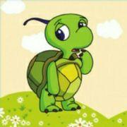 whu_in的个人资料头像