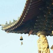 deluxe的个人资料头像