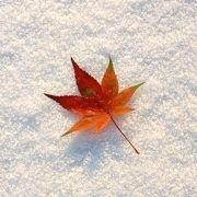 元波三轮的个人资料头像