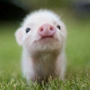 metacpp的个人资料头像