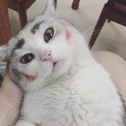 lin帅哥的个人资料头像