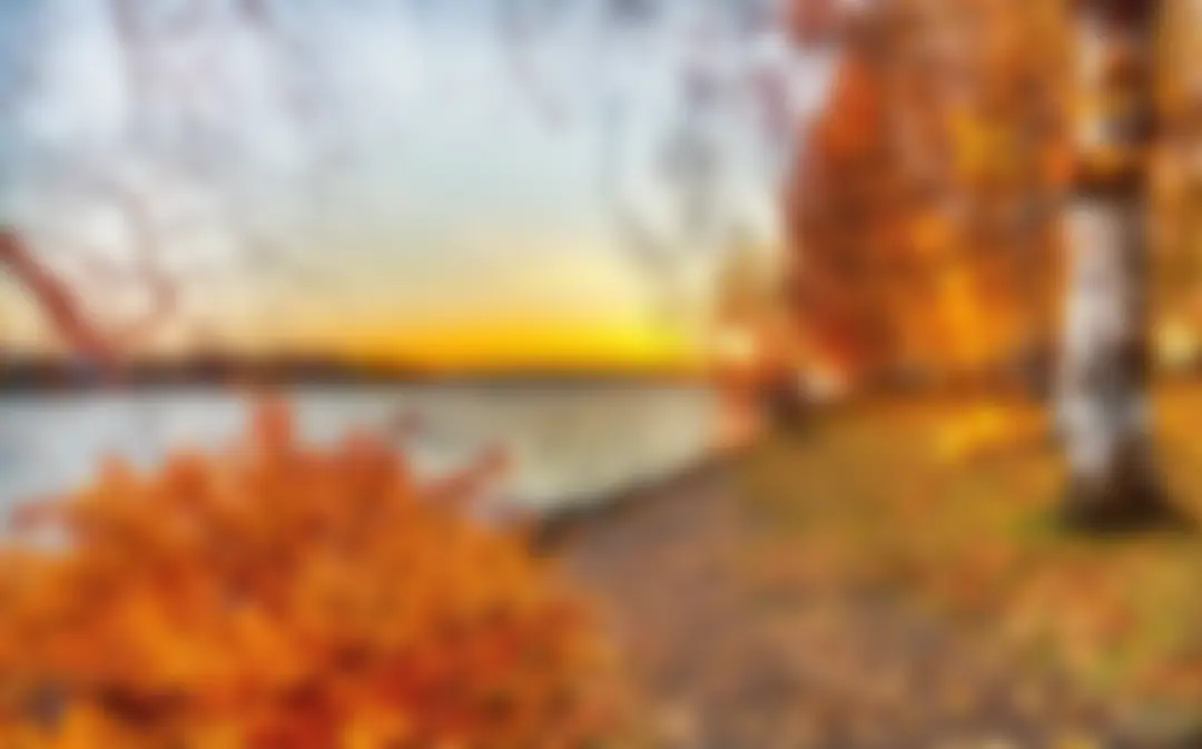 RenderScript-Blur-After