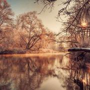 随心灬梦飞嵘城的个人资料头像