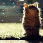 Louis1479978122829的个人资料头像