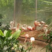 苑的个人资料头像