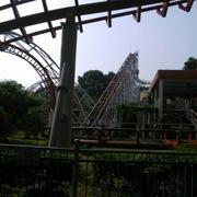 不喜欢吃萝卜的兔子的个人资料头像