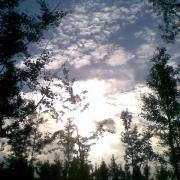 混沌游客的个人资料头像