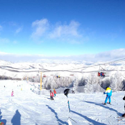 聪明诚意小郎君的个人资料头像
