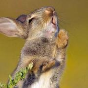 whoami1475192367000的个人资料头像