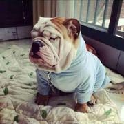 前方端口来袭的个人资料头像