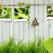 胡荣娜的个人资料头像