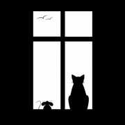 巅儿的个人资料头像