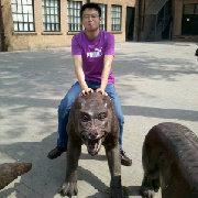 大侠童无忌的个人资料头像