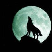 四有流氓陈小灰的个人资料头像